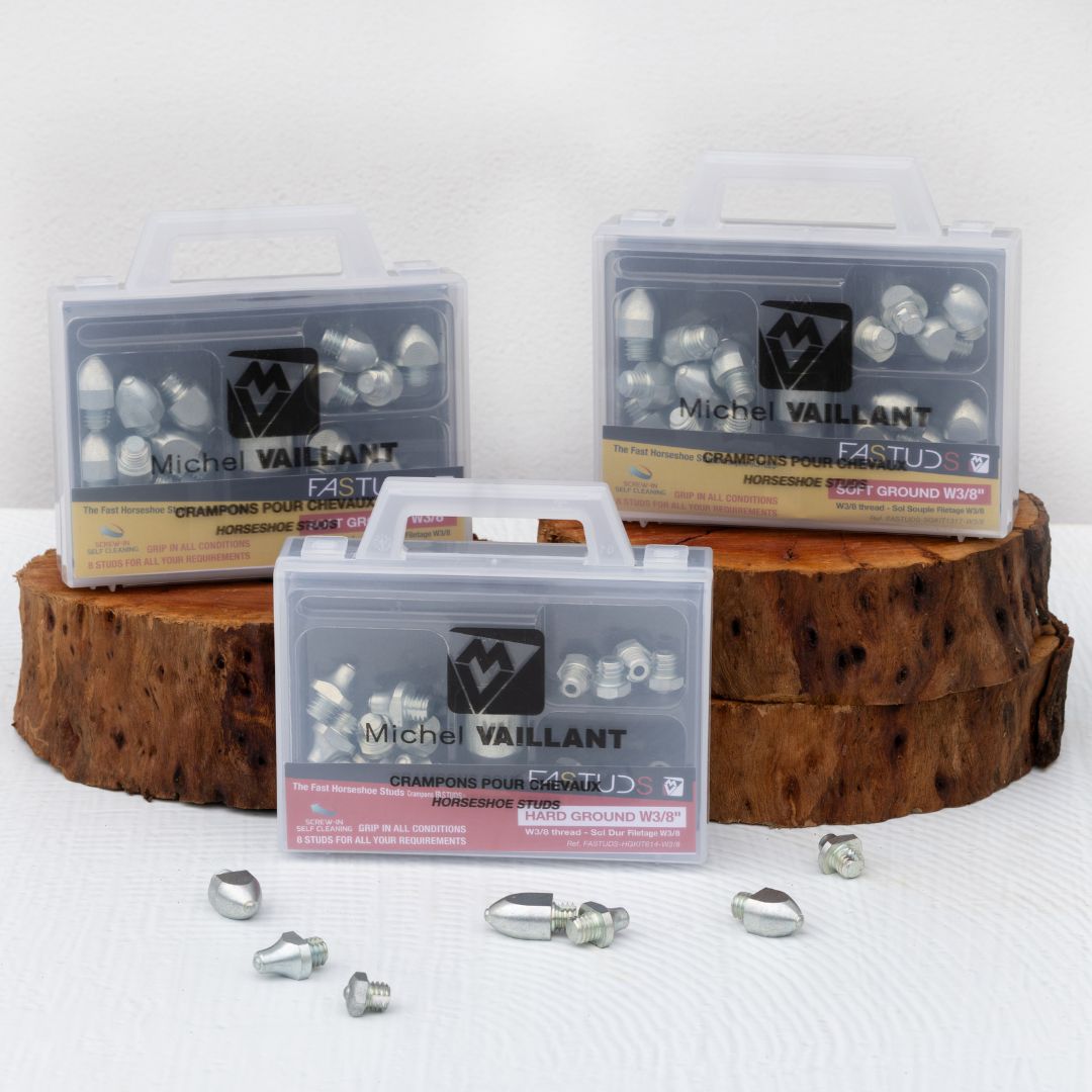 EXPLORE OUR COLLECTION OF HORSE STUDS AND STUD KITS
